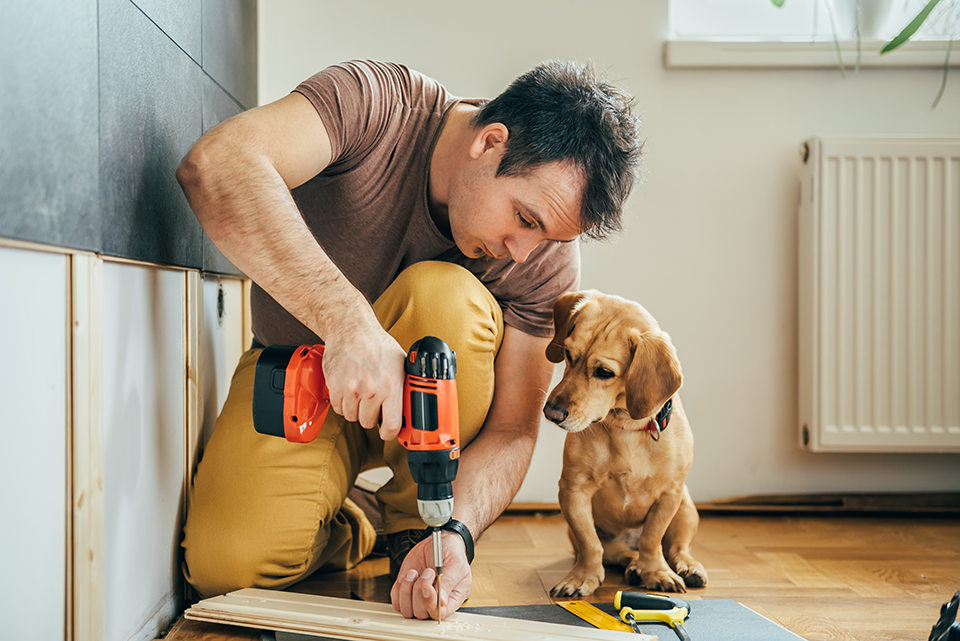 Man working on home projects with dog.