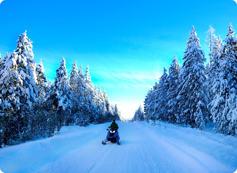 snowmobiling on forest trails