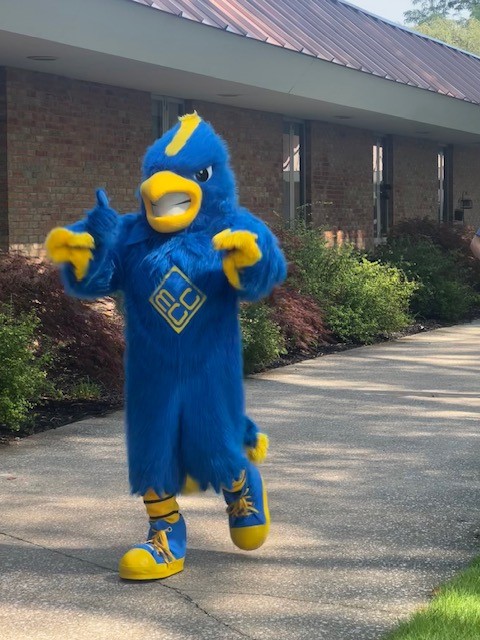 Jayhawk Frenzy - Jayhawk mascot